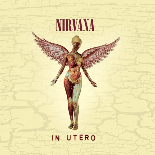 Nirvana – In Utero: 20th Anniversary (Remastered CD)