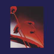 Nothing Ever Was: Compiled By Dj Sundae / Var – Nothing Ever Was: Compiled By Dj Sundae / Var (CD)