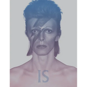 David Bowie Is: Inside the Visionary World of David Bowie