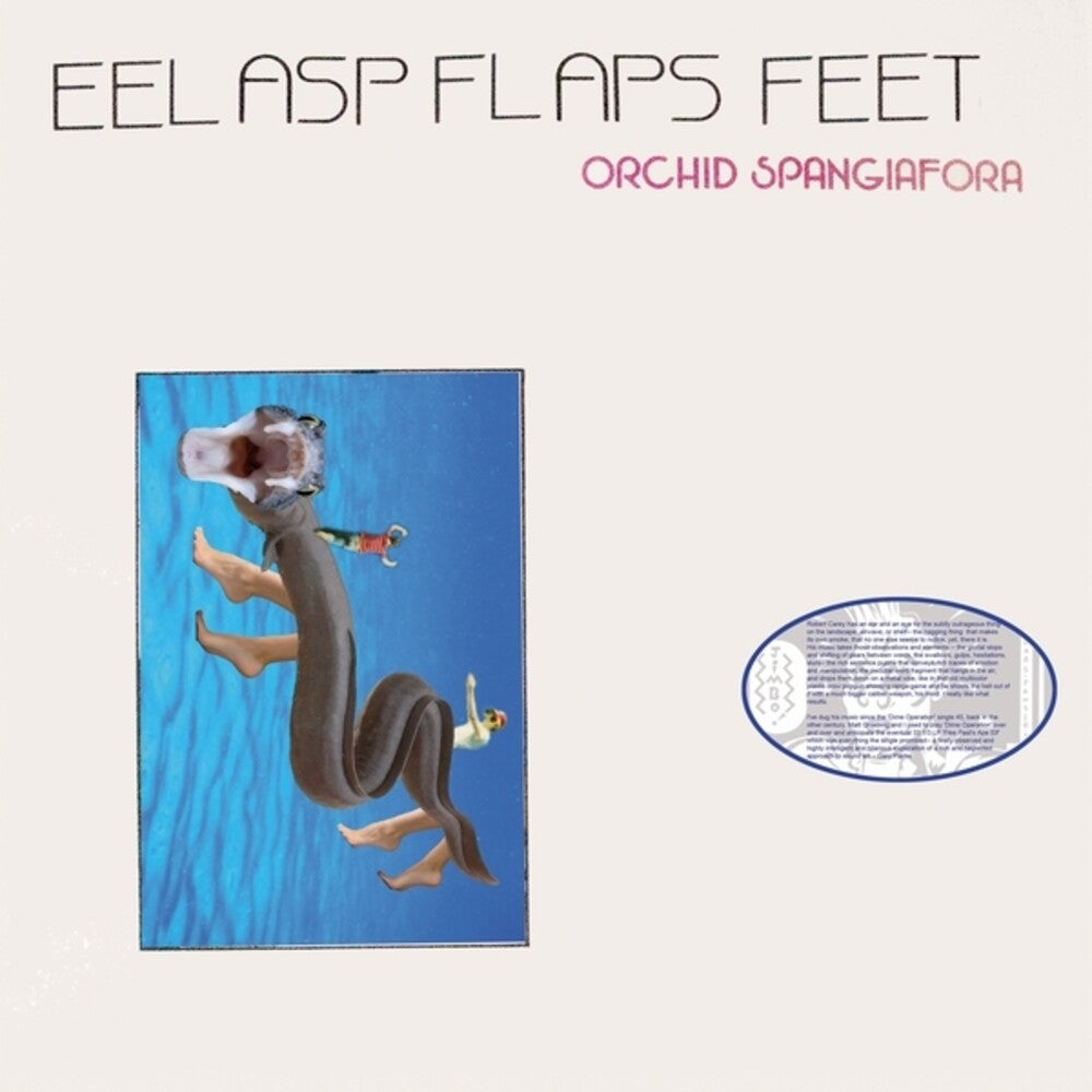 Orchid Spangiafora – Eel Asp Flaps Feet (LP Vinyl)