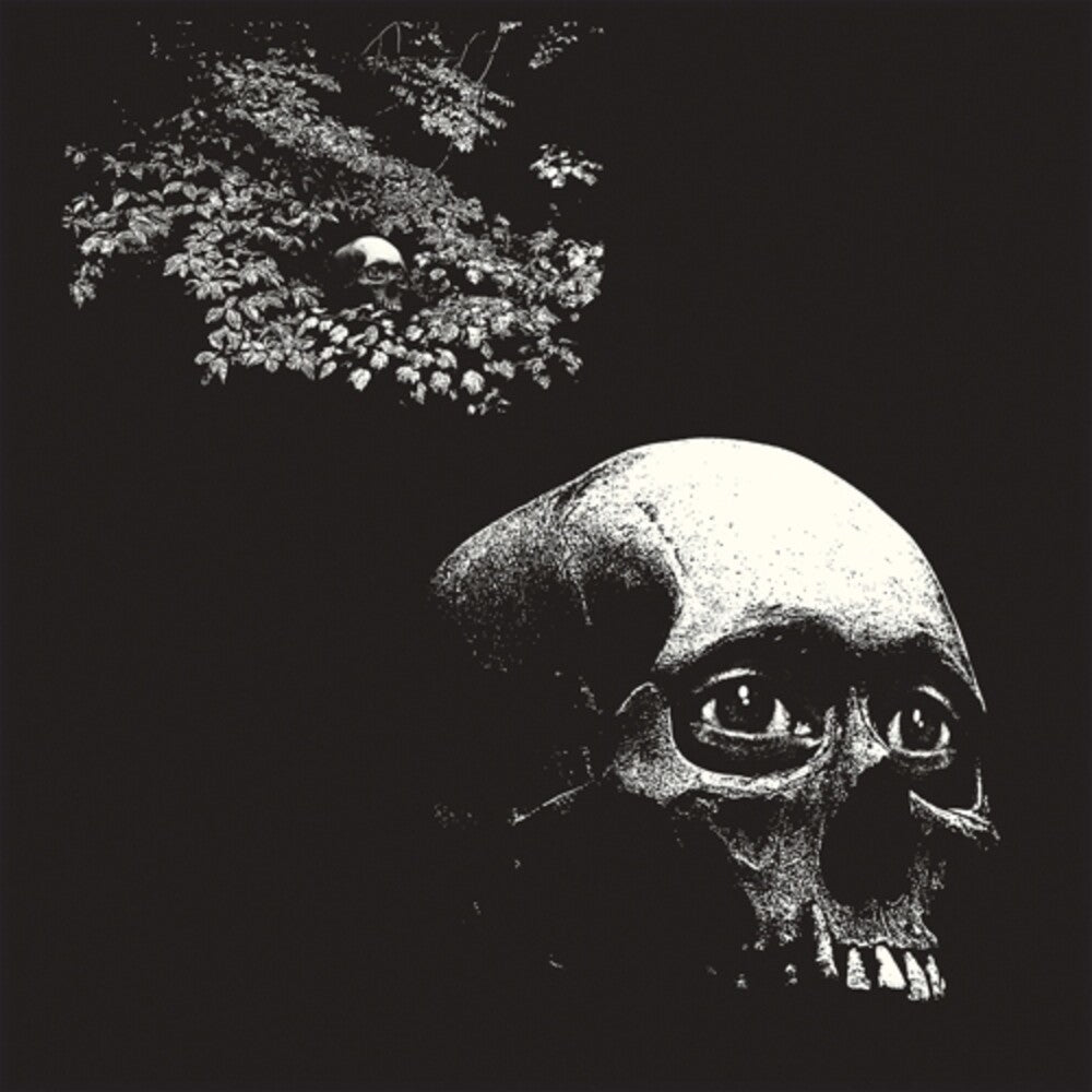 Osees – Foul Form (LP Vinyl)