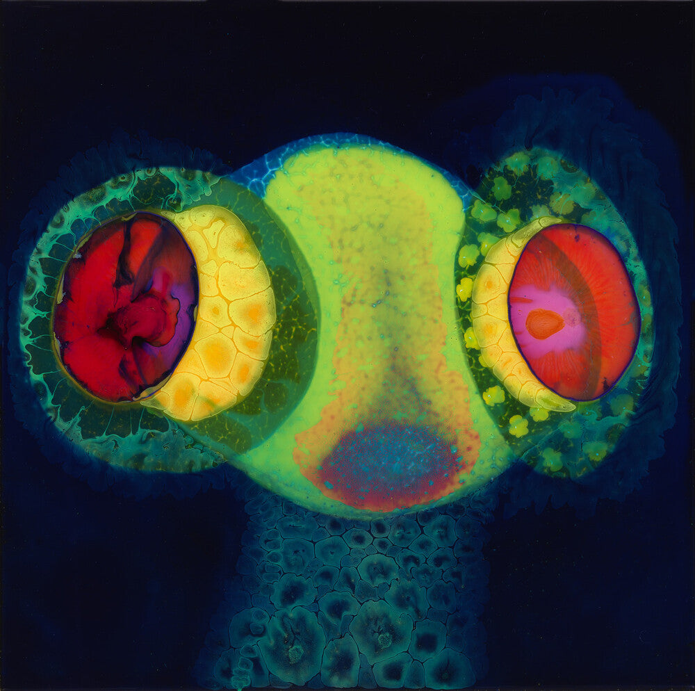 Osees – Sorcs 80 (CD)