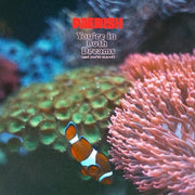Paerish – You're In Both Dreams (And You're Scared CD)