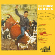 Parquet Courts – Light Up Gold (LP Vinyl)