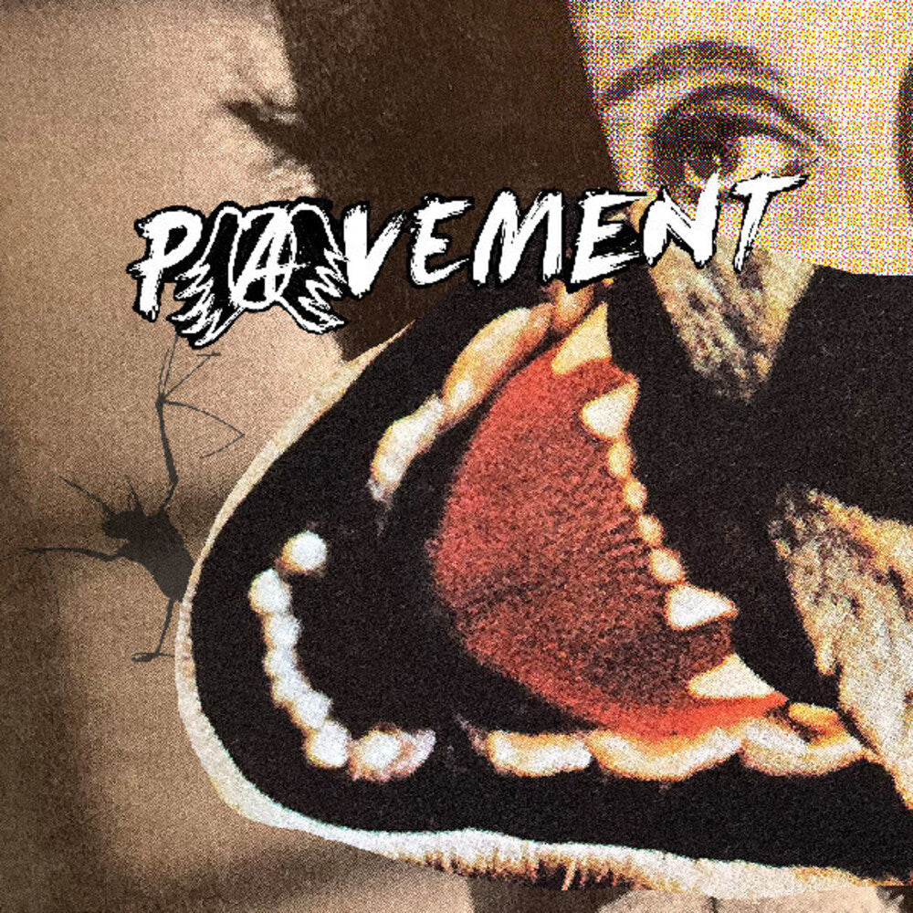 Pavement – Hecklers Choice: Big Gums And Heavy Lifters (LP Vinyl)