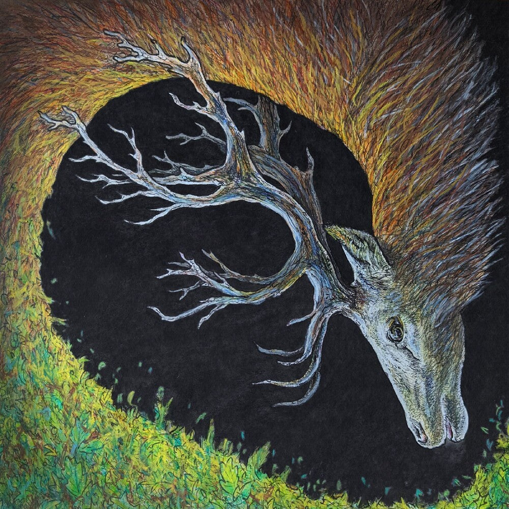 Petrels – Infangthief (Digipak CD)