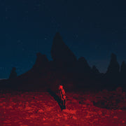Phoebe Bridgers – Punisher (CD)