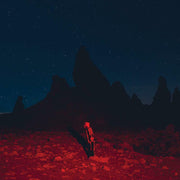 Phoebe Bridgers – Punisher (LP Vinyl)