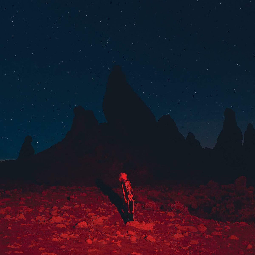 Phoebe Bridgers – Punisher (LP Vinyl)