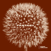 Piero Umiliani – Fantasy (LP Vinyl)