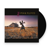 Pink Floyd – A Collection of Great Dance Songs (LP Vinyl) - Front
