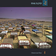 Pink Floyd – A Momentary Lapse of Reason (LP Vinyl)