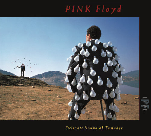 Pink Floyd – Delicate Sound Of Thunder (Live 2-CD)