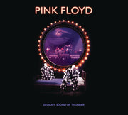 Pink Floyd – Delicate Sound Of Thunder: Remastered (2-CD) - Back