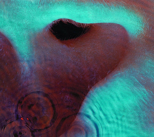Pink Floyd – Meddle (CD) - Back