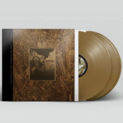 Pixies – Come On Pilgrim... It's Surfer Rosa: 30th Anniversary Deluxe Edition (Bronze 3-LP Vinyl)