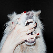 Porch Light – Hush (LP Vinyl)