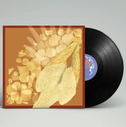 Pp Rebel – Devotee (LP Vinyl)