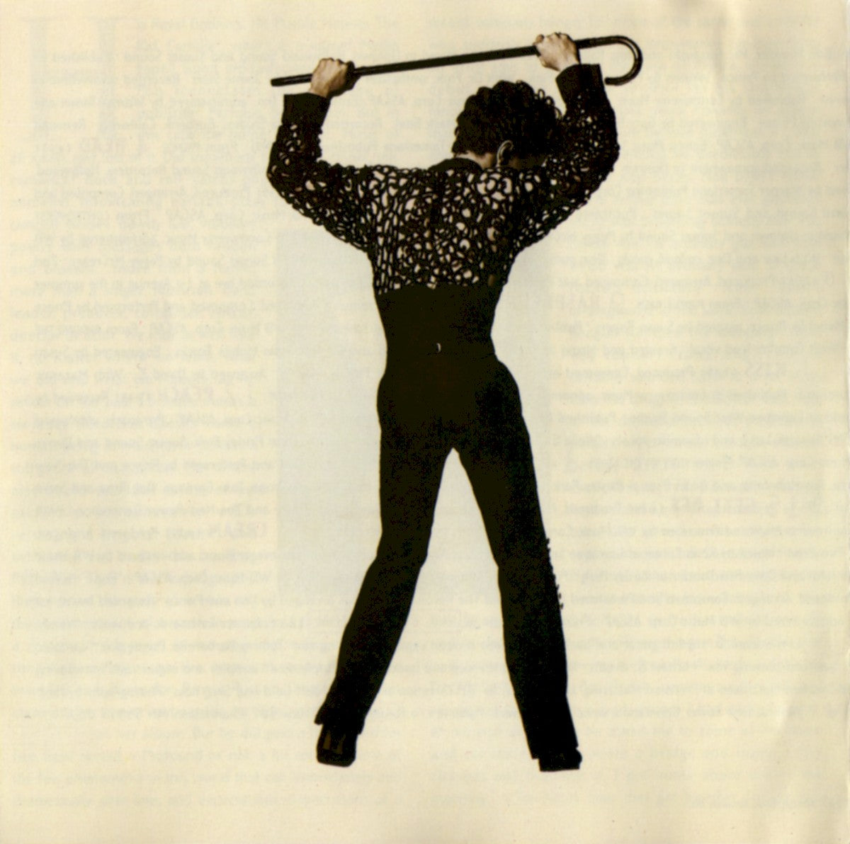 Gatefold 6: Prince – The Hits 2 CD | Relix