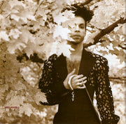 Gatefold: Prince – The Hits 2 CD | Relix