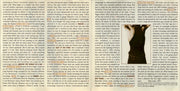 Gatefold 3: Prince – The Hits 2 CD | Relix