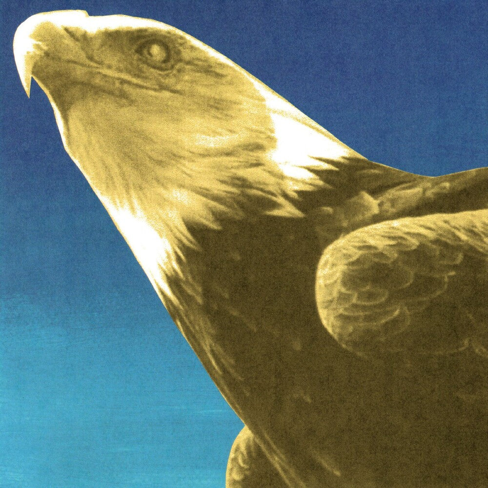 Protomartyr – Hotel Usona (CD)