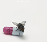 Red Hot Chili Peppers – I'm With You (LP Vinyl)