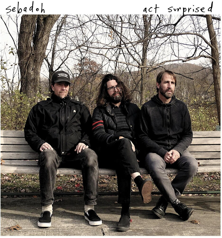 Sebadoh – Act Surprised (LP Vinyl)