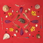Secret Family – Grouse Head Talisman (CD)