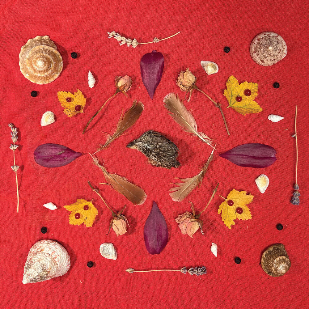 Secret Family – Grouse Head Talisman (CD)
