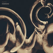 Siamese – Dissolution (CD)