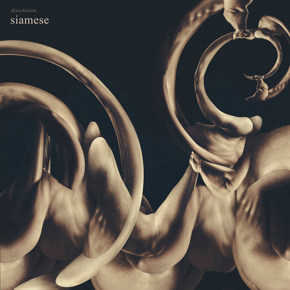 Siamese – Dissolution (CD)