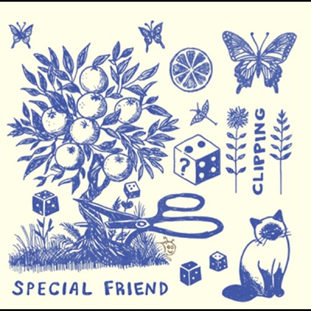 Special Friend – Clipping (LP Vinyl)