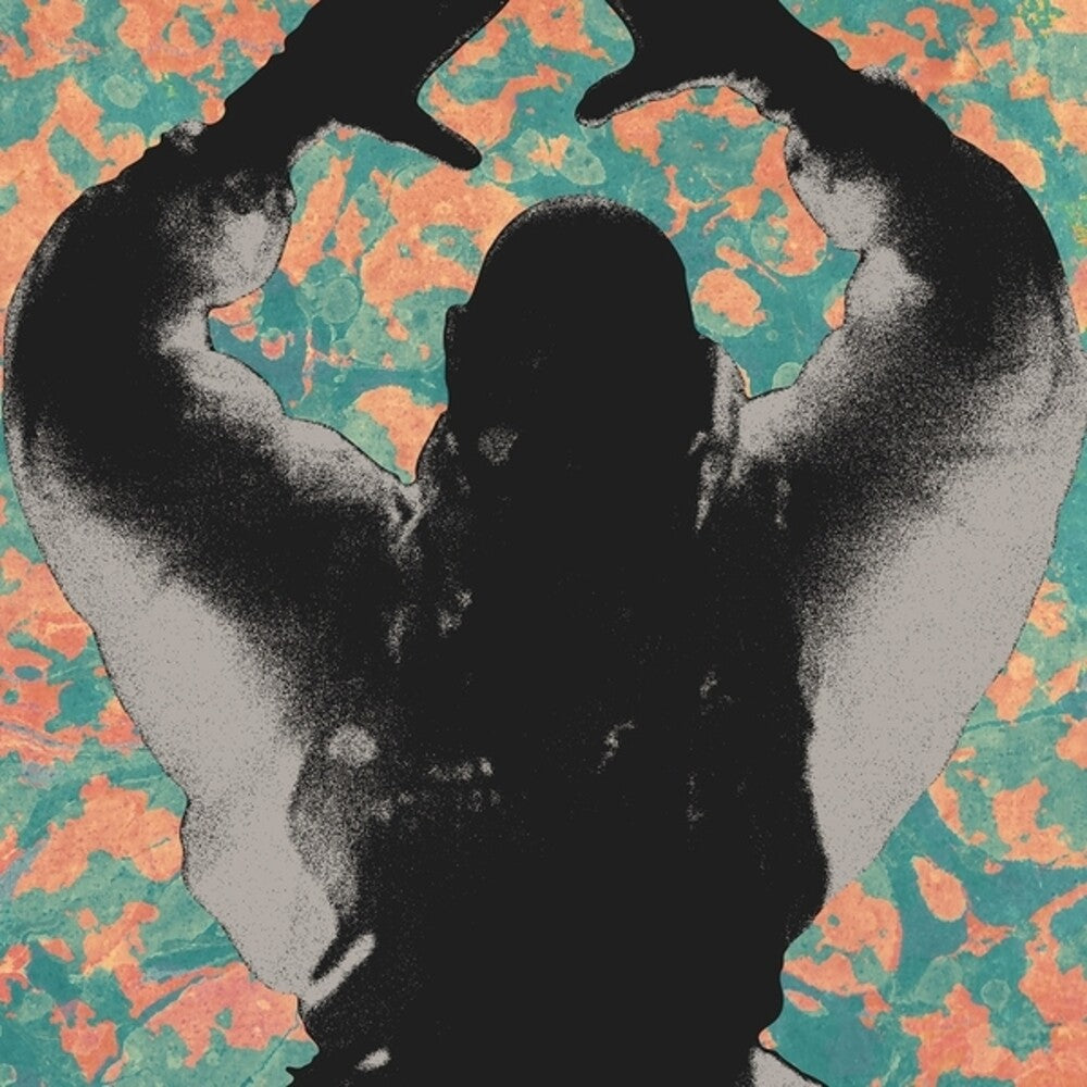 Startled Insects – Antenna Years (LP Vinyl)