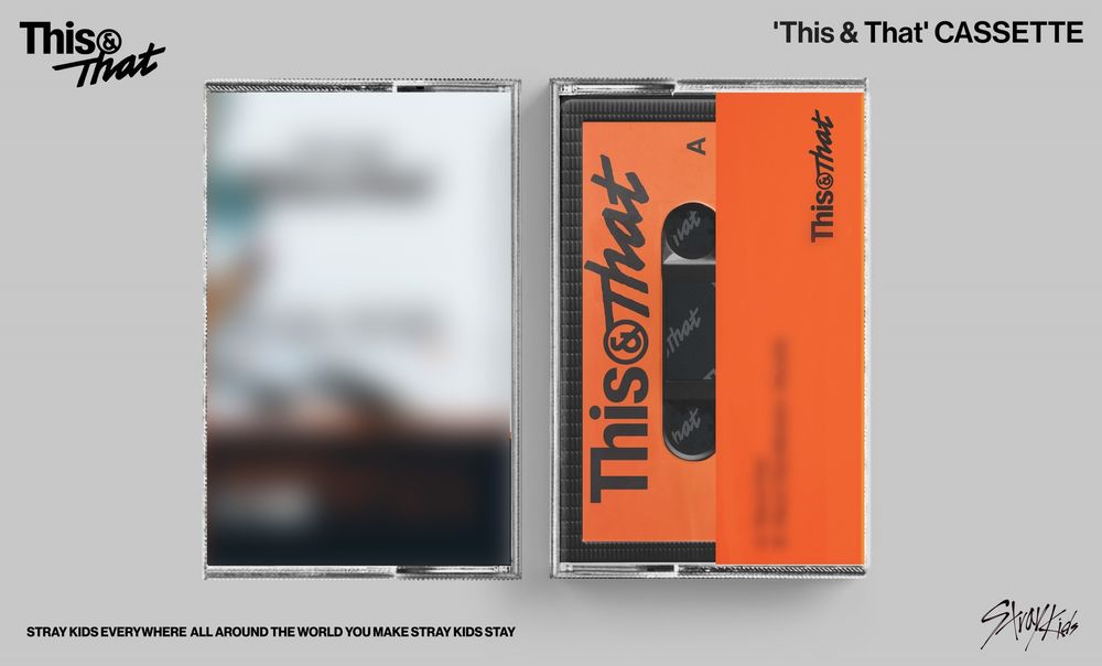 Stray Kids - This & That Vinyl LP | Relix