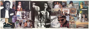 Sublime – Robbin' The Hood (2-LP Vinyl)