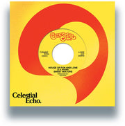 Sweet Mixture – House Of Fun And Love (7" Vinyl)