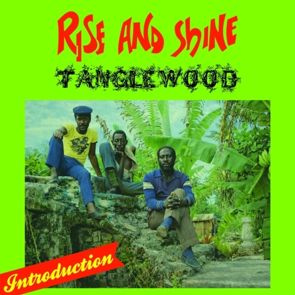Tanglewood – Rise & Shine (LP Vinyl)