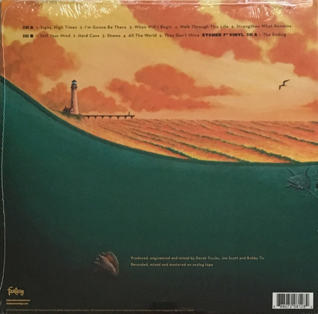 Tedeschi Trucks Band – Signs (2-LP Vinyl) - Detail