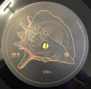 Tedeschi Trucks Band – Signs (2-LP Vinyl) - Side View