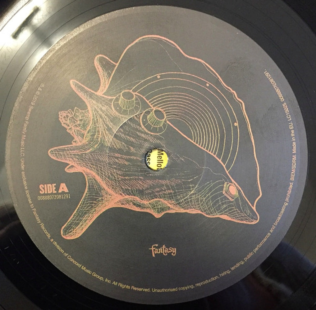 Tedeschi Trucks Band – Signs (2-LP Vinyl) - Side View
