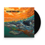 Tedeschi Trucks Band – Signs (2-LP Vinyl) - Front
