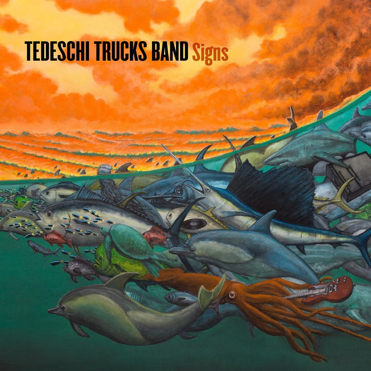 Tedeschi Trucks Band – Signs (CD)