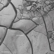Terezie Fialova – Peteris Vasks: Gadalaiki (The Seasons) - Terezie (CD)