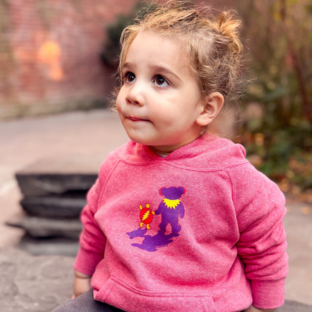 Grateful Dead Terrapin & Bear Raglan Toddler Hoodie