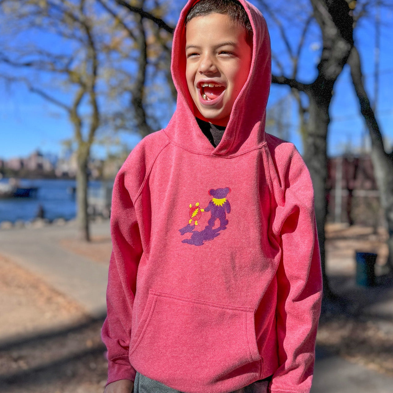 Grateful Dead Terrapin & Bear Raglan Youth Hoodie