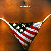 The Black Crowes – Amorica. (2-LP Vinyl) - Back