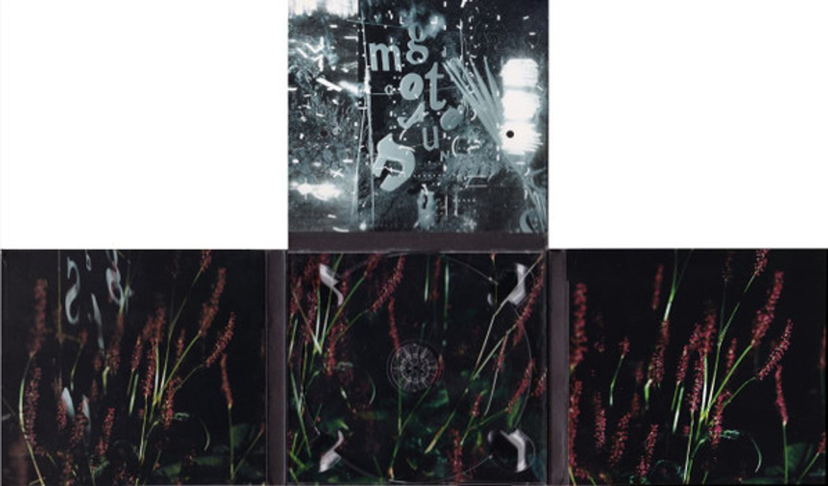 The Mountain Goats – Tallahassee (CD) - Alternate View