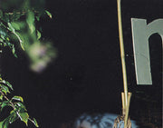 The Mountain Goats – Tallahassee (CD) - Side View