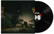 The Plot In You – The Plot In You (LP Vinyl)